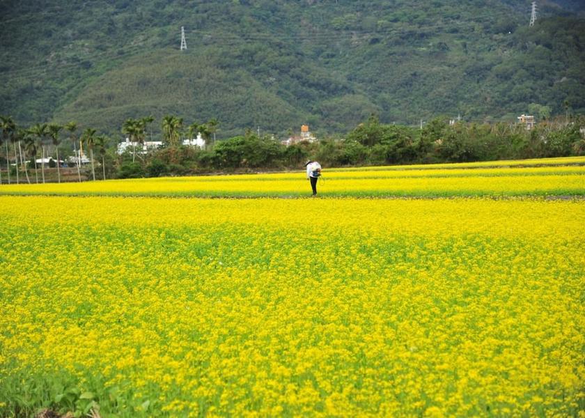 Taitung County Guanshan Exterior detail