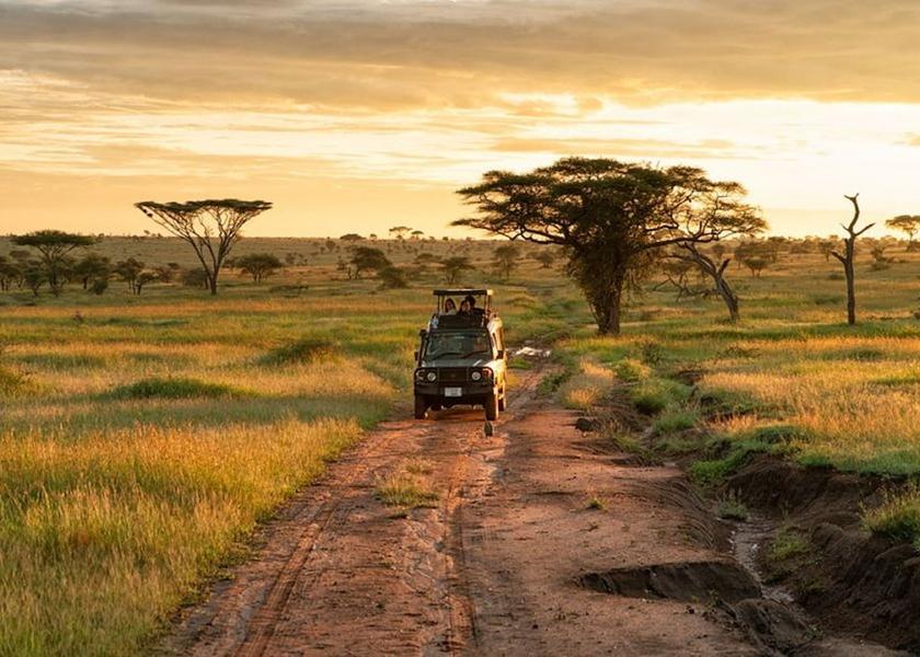 Mara Region Serengeti Safari and game