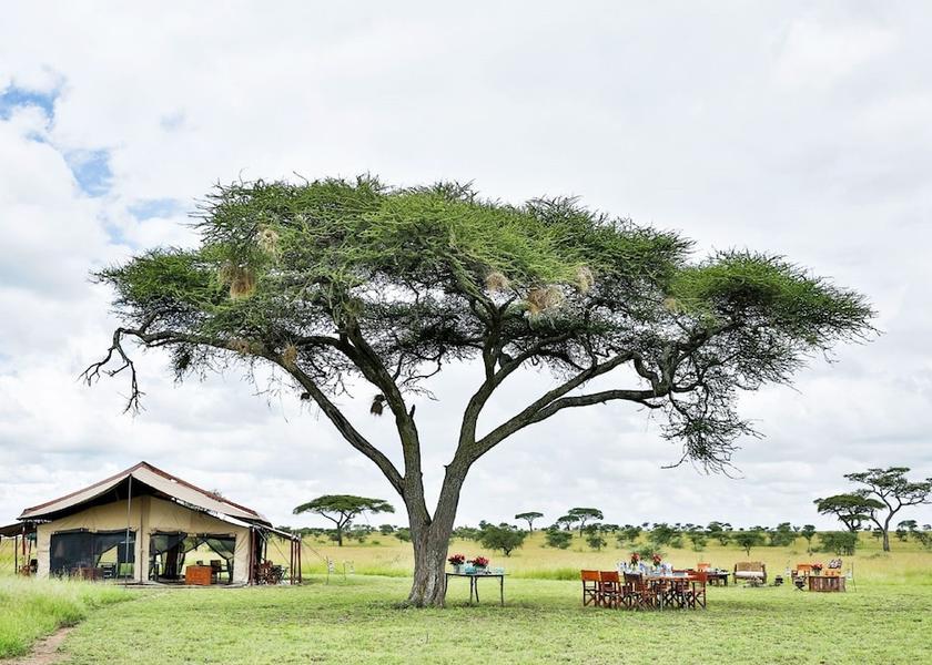 Mara Region Serengeti View From Room