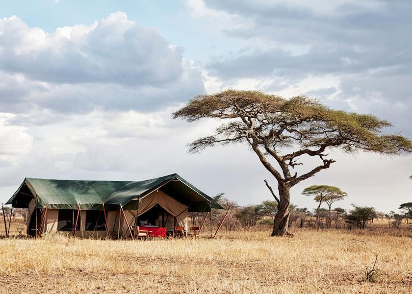 Mara Region Serengeti Property Grounds