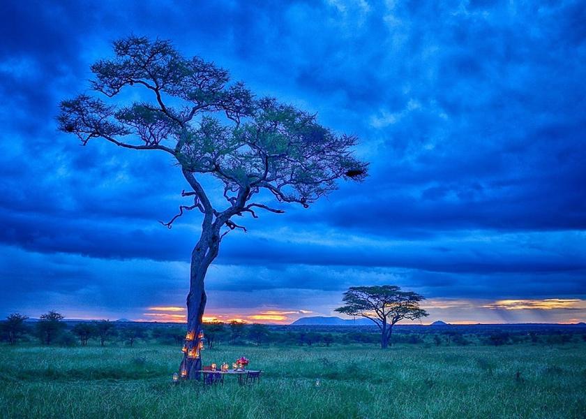 Mara Region Serengeti Couples Dining