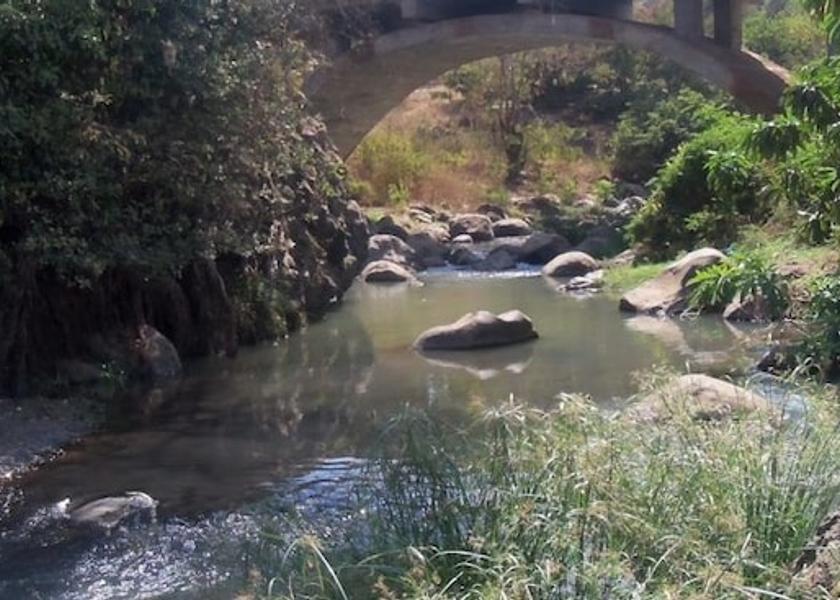  Moshi Exterior Detail