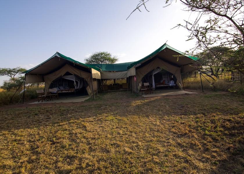 Mara Region Serengeti Room