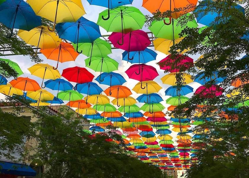 Florida Coral Gables Ecotours