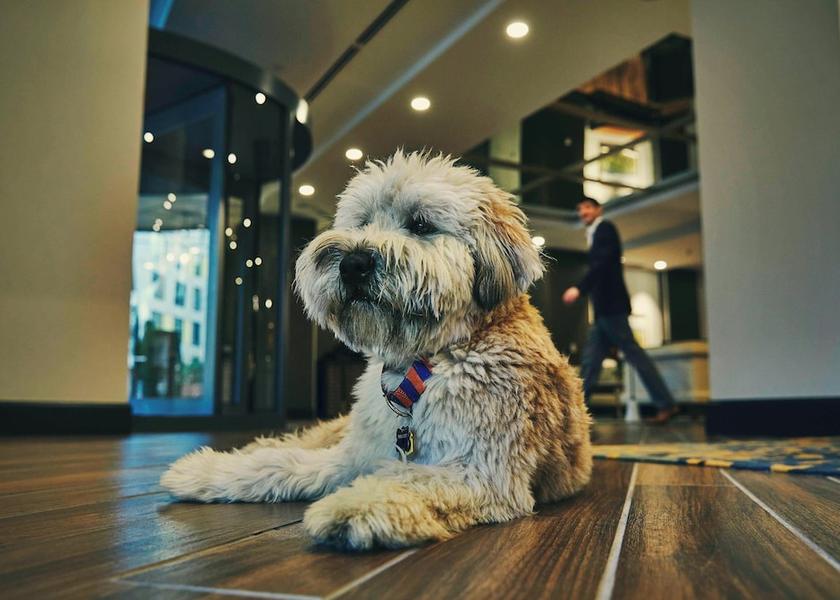 Virginia Charlottesville Amenity