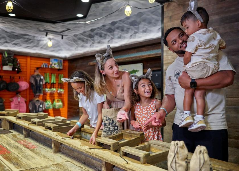 Virginia Williamsburg Indoor Games