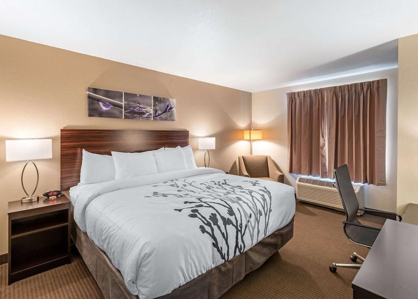 Colorado Denver Room
