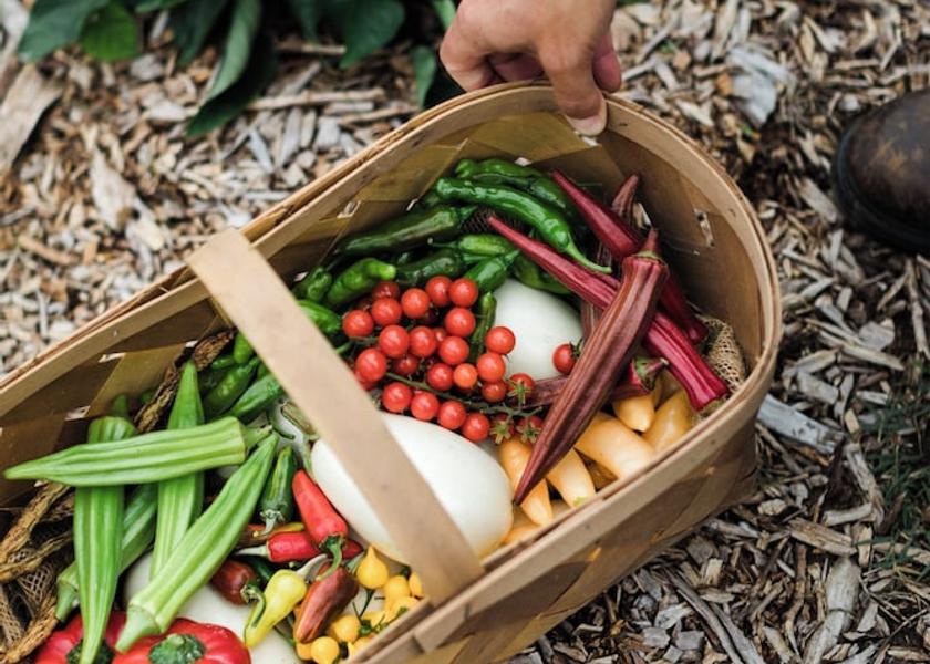 New Jersey Irvington Ecotours