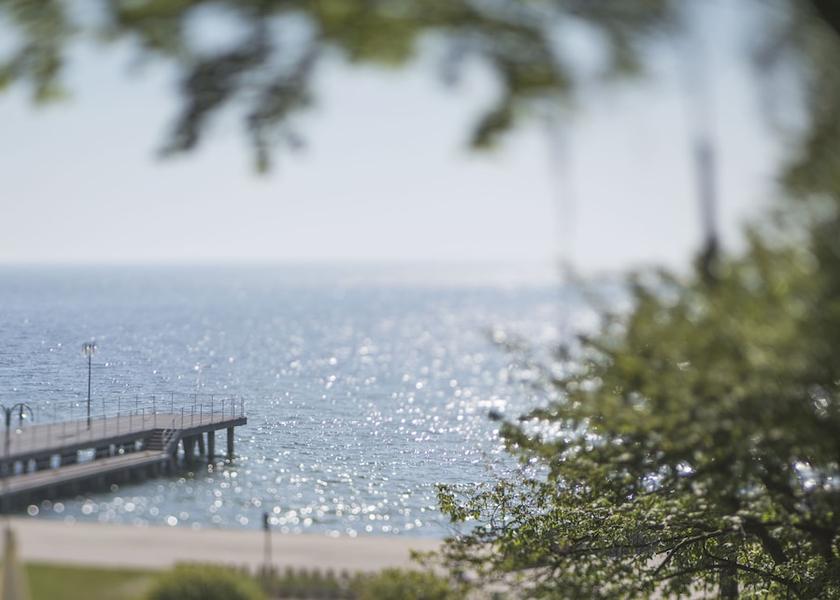 Pomeranian Voivodeship Gdynia View from Property
