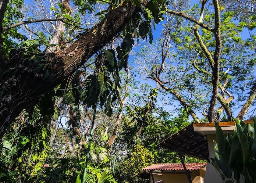 Puntarenas Province Tárcoles Interior Entrance