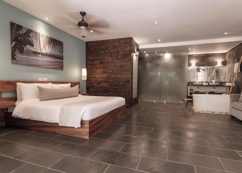 Guanacaste Potrero Room