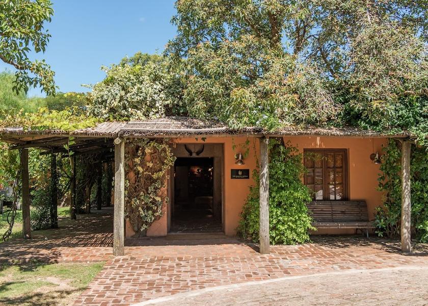 Maldonado Punta del Este Bar