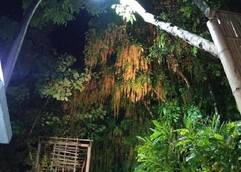 Hoa Binh Mai Chau View from Property