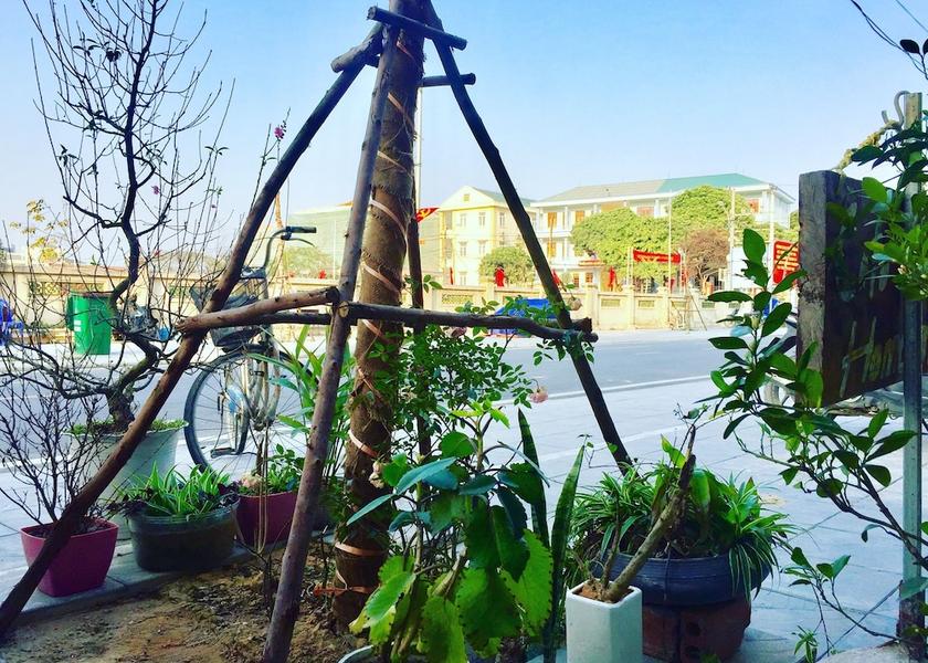 Quang Ninh Co To Primary image