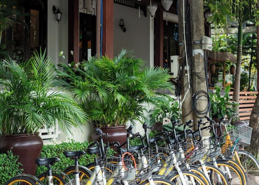 Da Nang Municipality Hoi An Bicycling