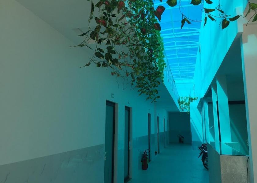 Tay Ninh Tay Ninh Interior Entrance