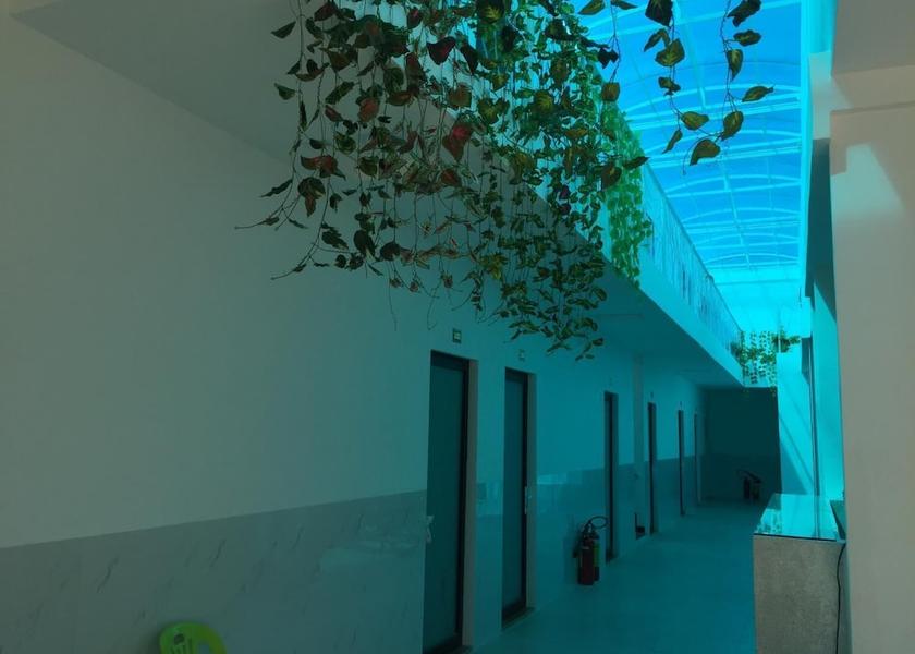 Tay Ninh Tay Ninh Interior Entrance