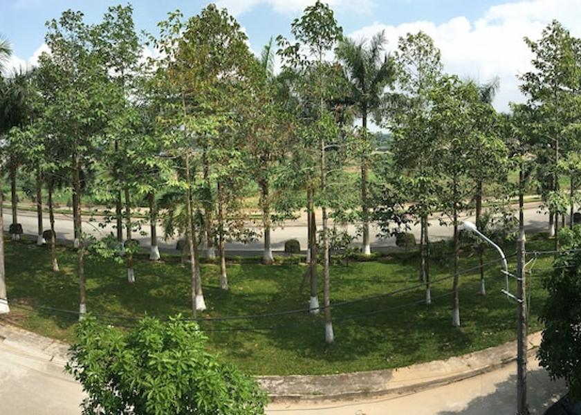 Quang Ngai Quang Ngai View from Property