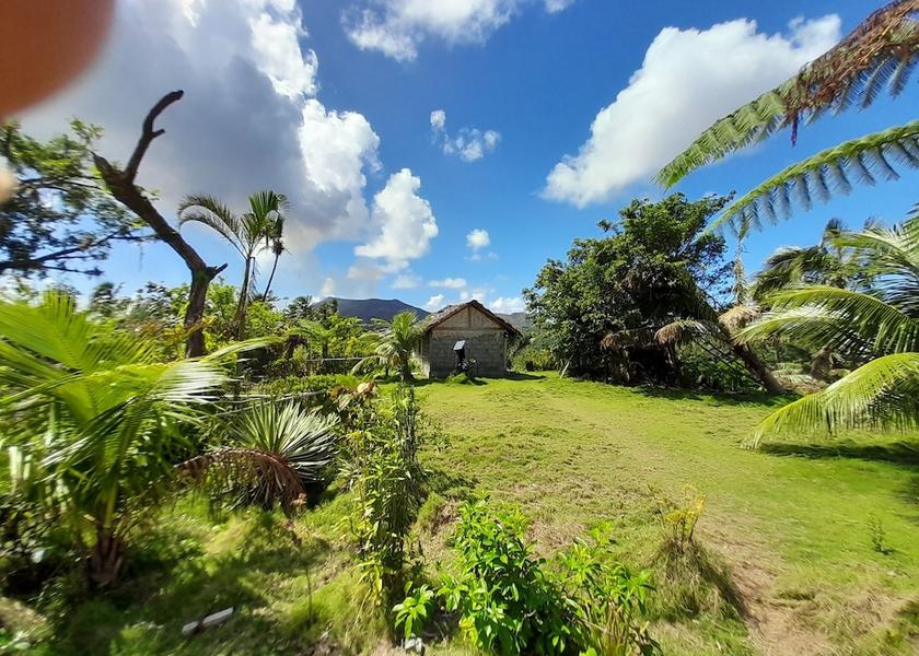  Tanna Island Facade