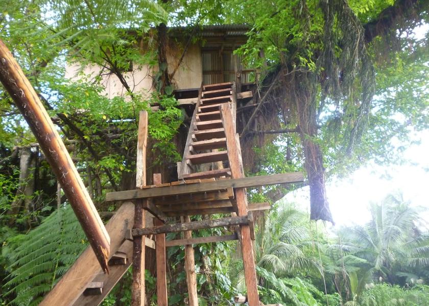  Tanna Island Primary image