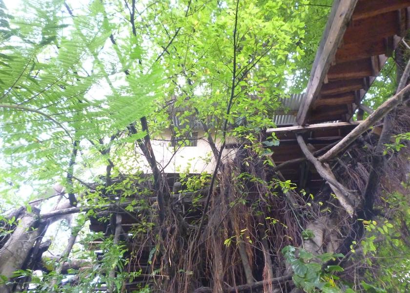  Tanna Island Exterior Detail