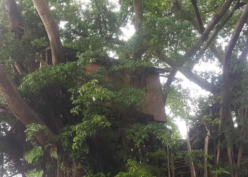  Tanna Island Property Grounds