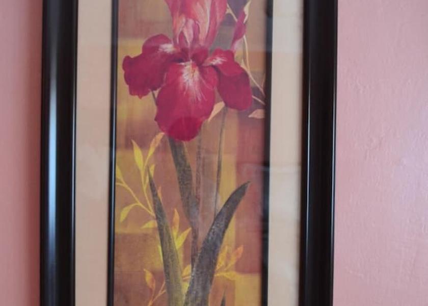  Livingstone Interior Entrance