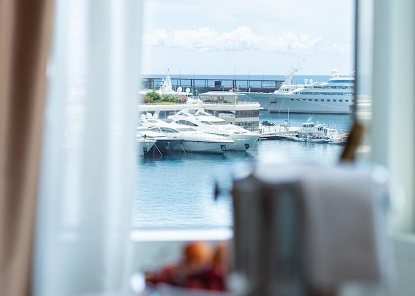 Provence - Alpes - Cote d'Azur Monaco View from Property