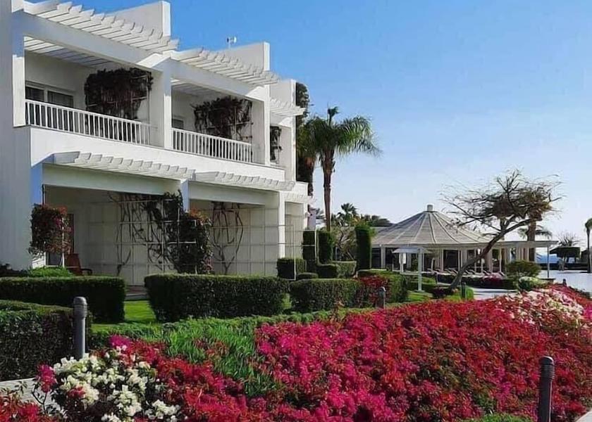 South Sinai Governate Sharm El Sheikh Room