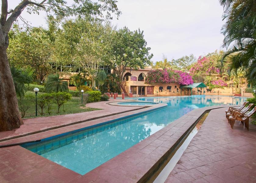 Karnataka Bandipur Pool