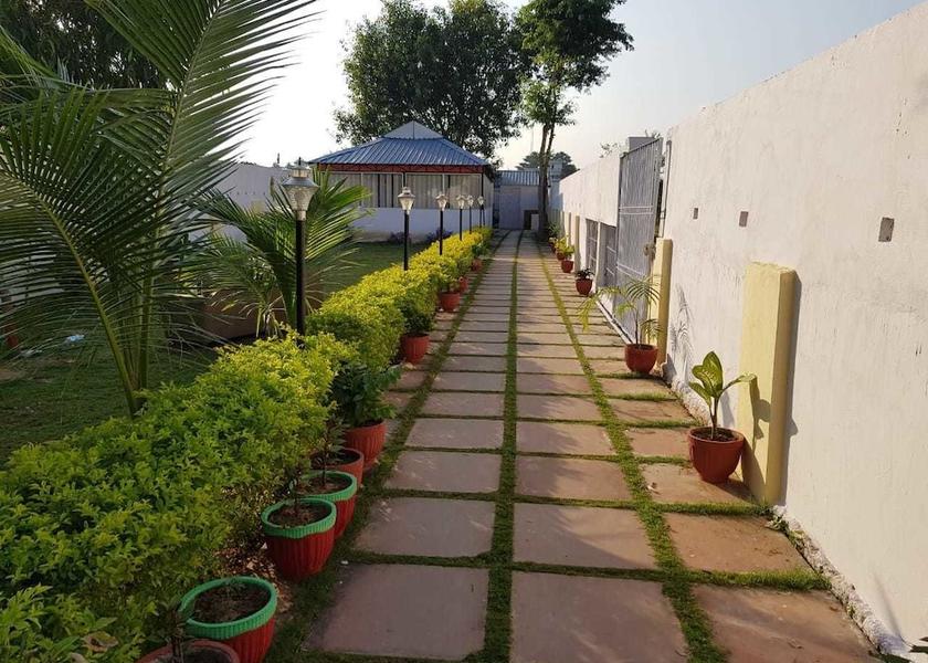 Bihar Bodh Gaya Garden