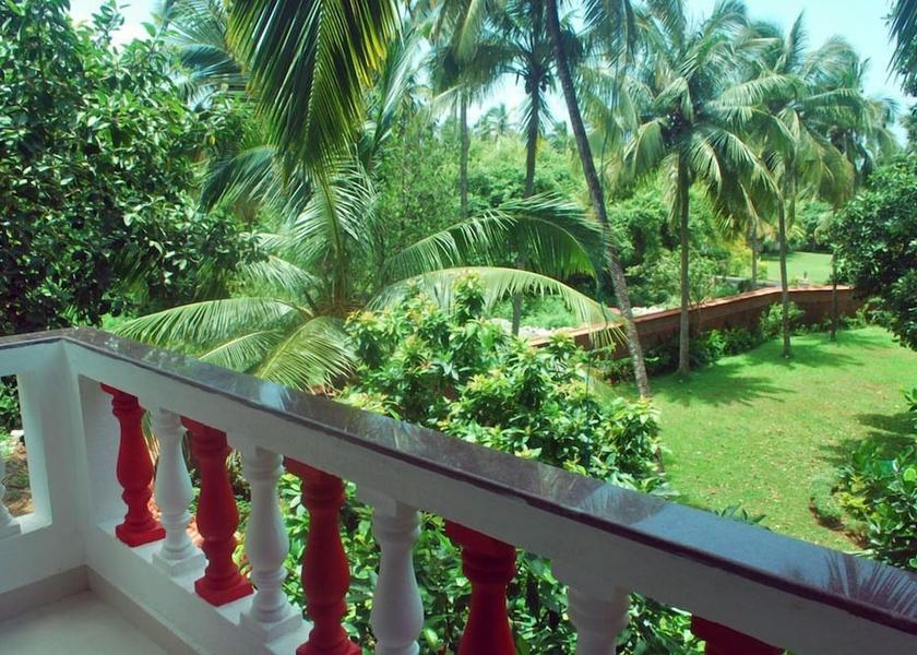 Goa Calangute View from property