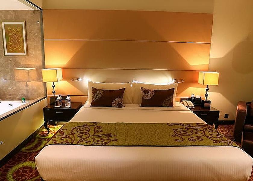 Madhya Pradesh Indore Premium Club Single Room - Intech Generic (As per email)