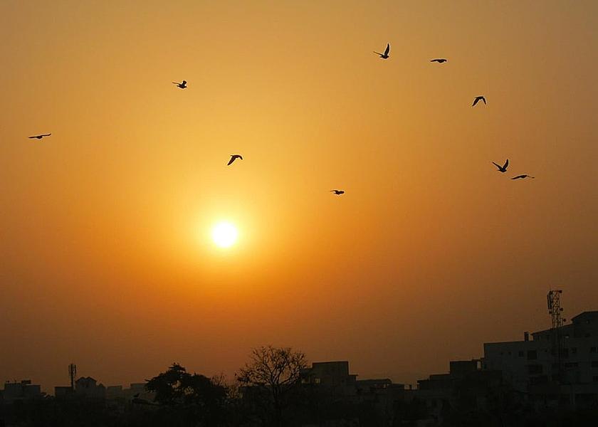 Rajasthan Jaipur View from Property