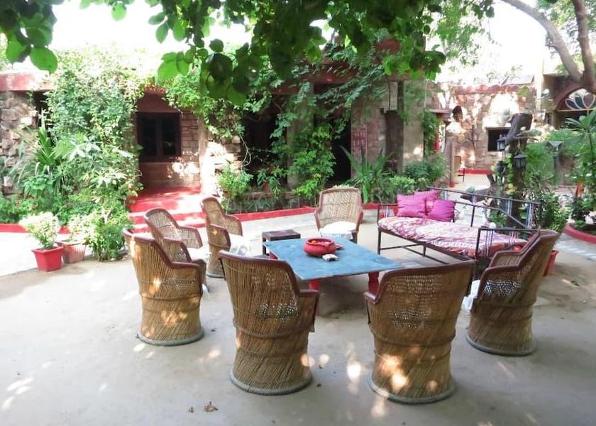 Rajasthan Jodhpur Food & Dining
