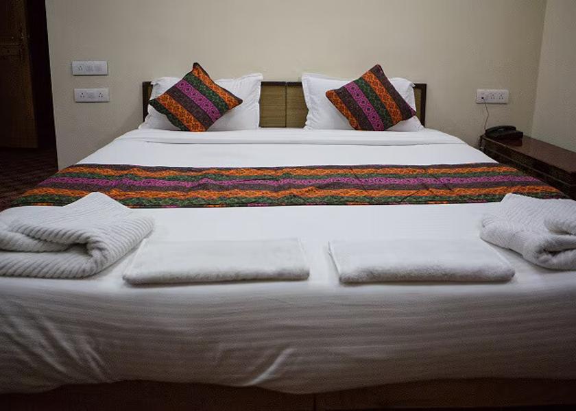 Ladakh Leh Double Room with Mountain View