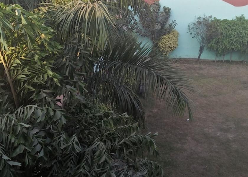 Punjab Moga View from Property