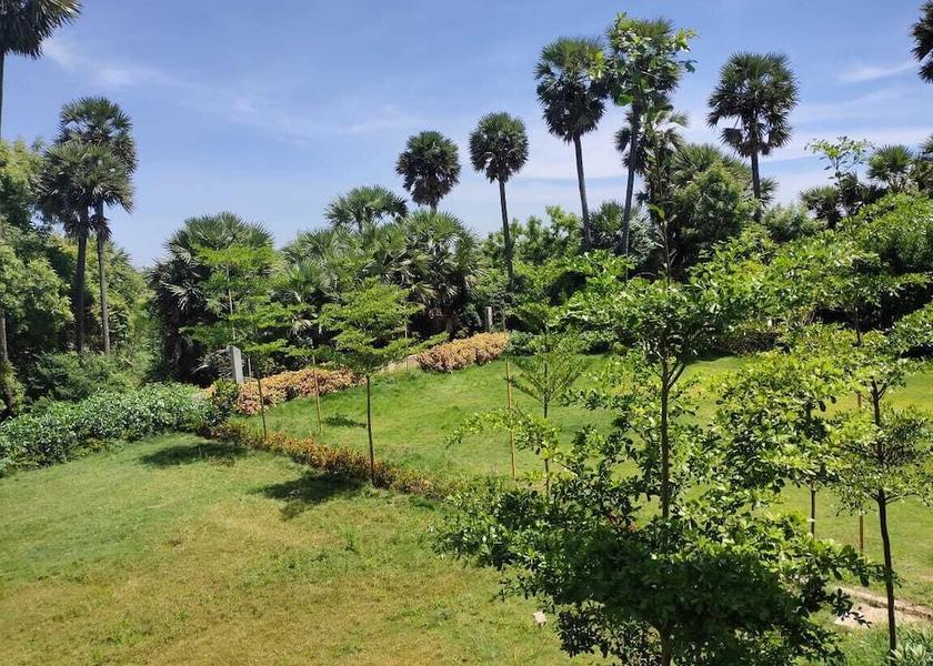 Andhra Pradesh Tada Garden
