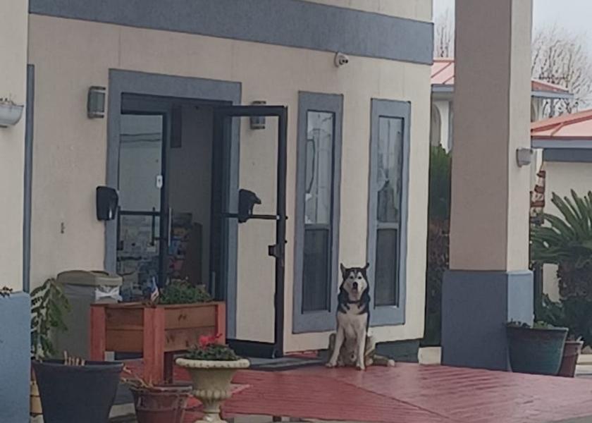 Texas Elmendorf Entrance