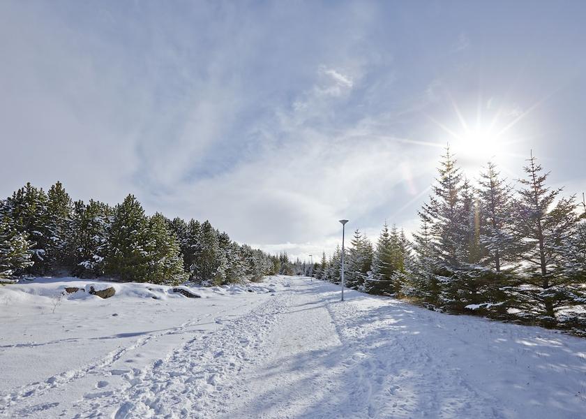 Southern Peninsula Reykjavik Hiking