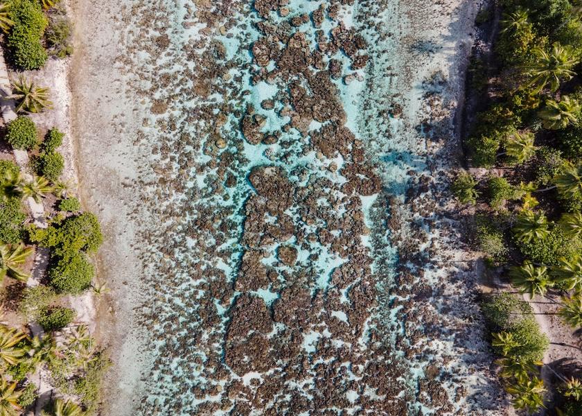  Tahaa Exterior Detail