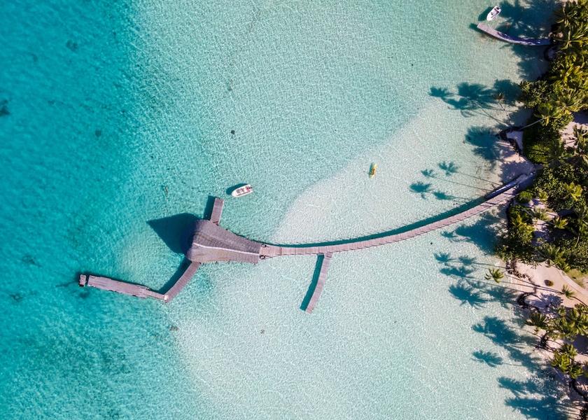  Tahaa Check-in Check-out Kiosk