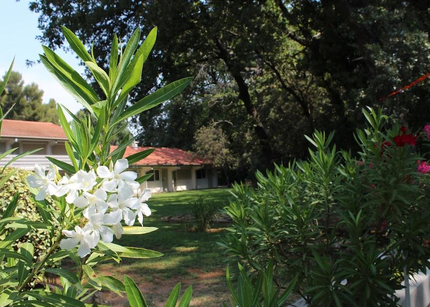 Provence - Alpes - Cote d'Azur Vitrolles Facade