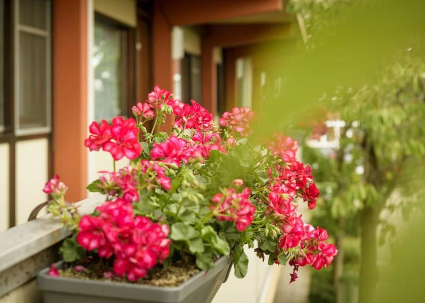 South Holland Vlaardingen View From Room