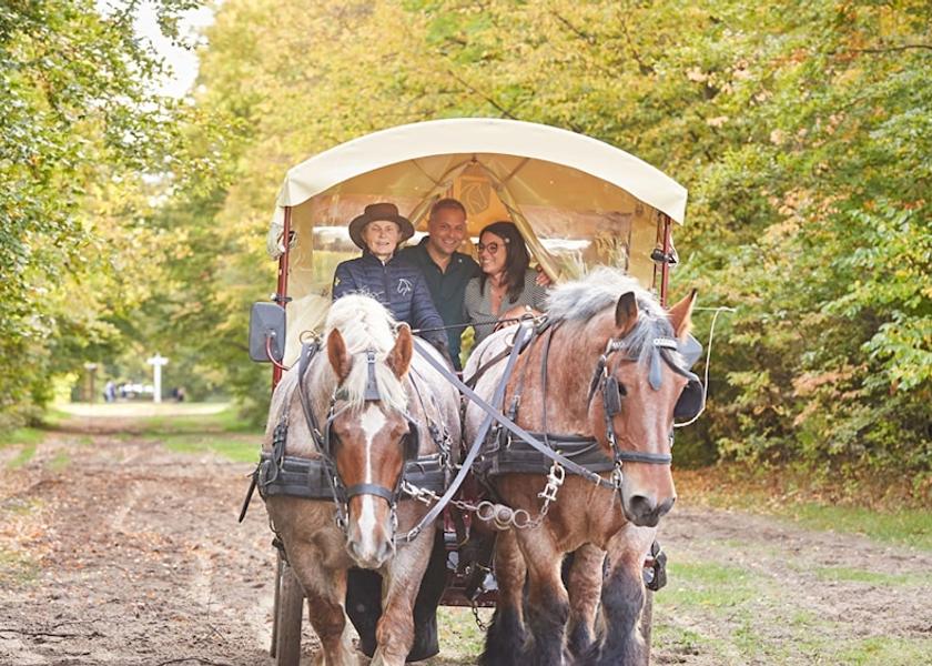 Hauts-de-France Compiegne Hiking