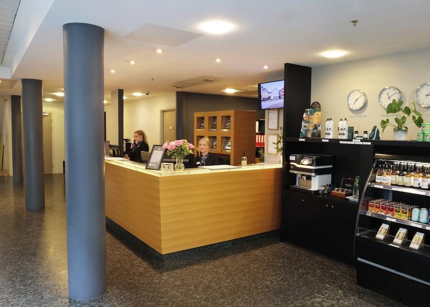 Southern Peninsula Reykjavik Reception
