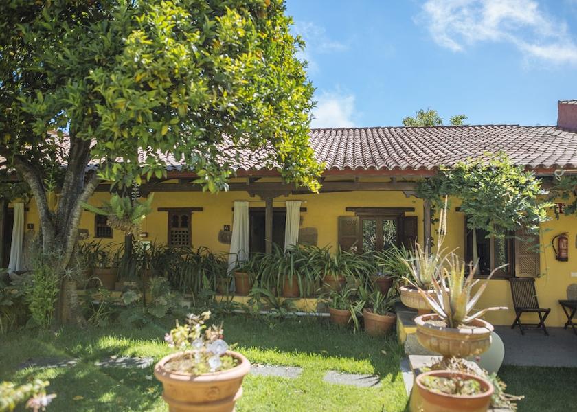 Canary Islands Vega de San Mateo Garden
