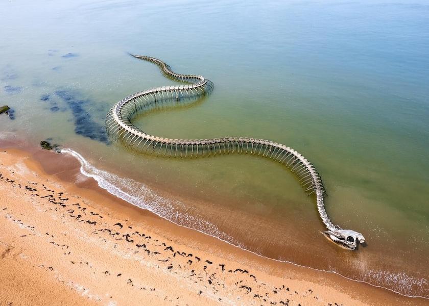 Pays de la Loire Saint-Brevin-les-Pins Hiking