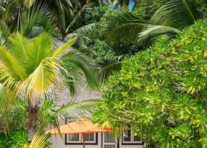 South Nilandhe Atoll Velavaru Room
