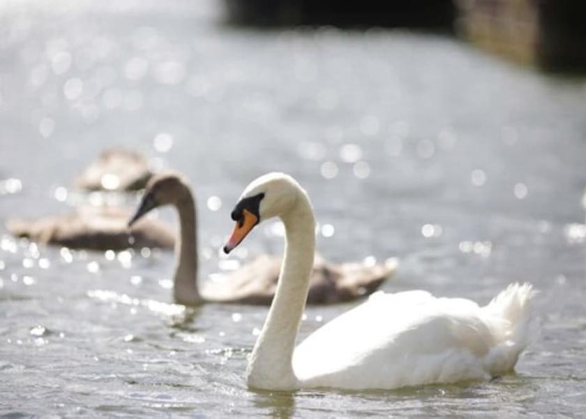 England Egham Exterior Detail